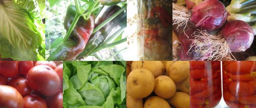 photo fruits légumes